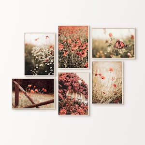 Spring Gallery Wall Set, Wildflower Set of 6 Prints DIGITAL, Flowery Field 6 Stück große Wandkunst, Schmetterling Wandkunst, Blumen Fotografie