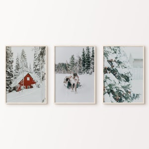 Winter Forest Landscape Set of 3 Printable Photography, Winter Theme 3 Pieces Wall Art, Nordic Nature Wall Art, Snowy Christmas Decor Poster