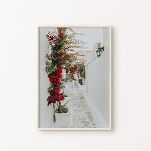 Arte mural mediterráneo, fotografía imprimible de Grecia, arte mural floral de Grecia, póster de viaje a Europa, impresión arquitectónica de las Cícladas