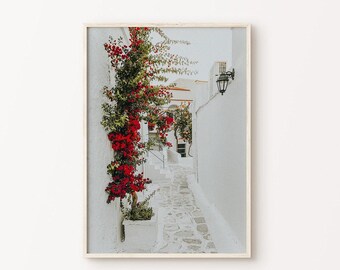 Arte mural mediterráneo, fotografía imprimible de Grecia, arte mural floral de Grecia, póster de viaje a Europa, impresión arquitectónica de las Cícladas