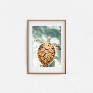 Printable Sea Turtle Photography, Coastal Large Wall Art, Beach Digital ...