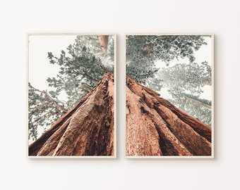 Printable Tree Split Photography, Printable Sequoia Redwood 2 Pieces Wall Art, Sequoia Forest Set of 2 Prints, Misty Forest Print