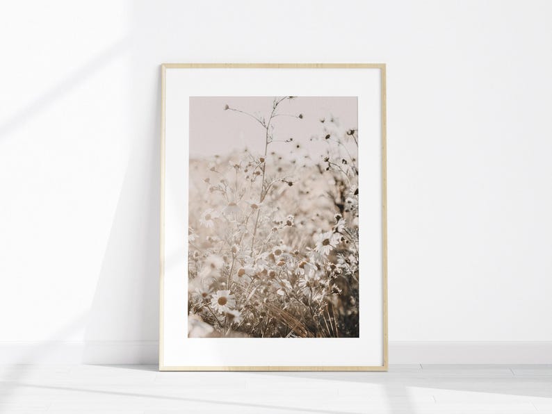 Juego de 6 fotografías imprimibles de estilo rústico de granja para pared, impresión de vacas de las Tierras Altas, arte de pared grande de 6 piezas de granja, impresión de flores silvestres imagen 3