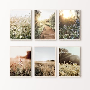 Printable Nature Set of 6 Photography, Wildflowers 6 Pieces Large Wall Art, Green Nature Prints Set, Forest Landscape Digital Download Art