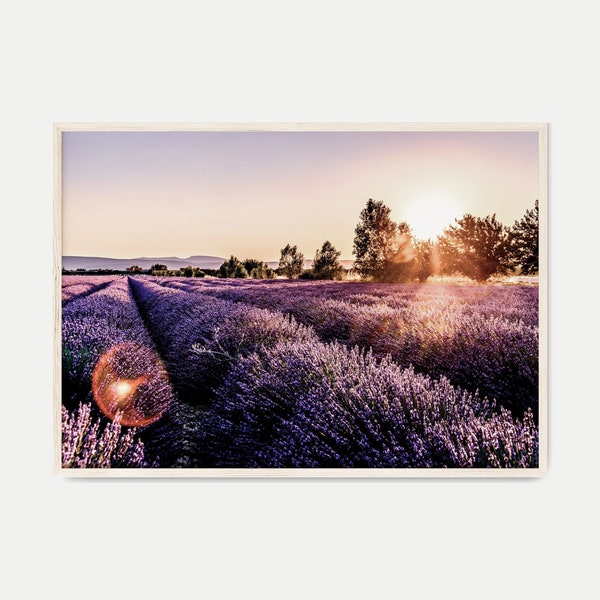 Lavender Fields at Sunset Printable Photography, Provence France Landscape Large Wall Art, Purple Flowers Print, Farmhouse Spring Wall Decor