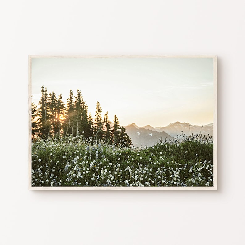 Druckbare Wildblumen Fotografie, Natur Landschaft große Wandkunst, grüne Natur Digitaldruck, nordische Wald Wandkunst, Instant Download Bild 8