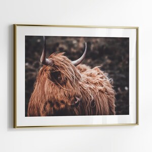 Arte mural de vaca de las Tierras Altas, arte mural grande de ganado del oeste, impresión fotográfica rústica horizontal, póster de vaca Longhorn, lienzo imprimible de animales de granja imagen 2