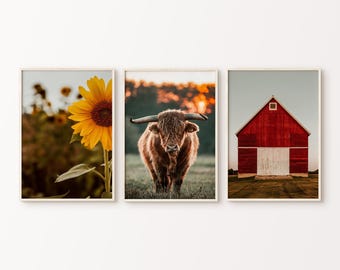 Printable Set of 3 Farmhouse Rustic Prints, Sunflower Photography, Country Barn Wall Art, Highland Cow Wall Art, Sunflower Digital Picture