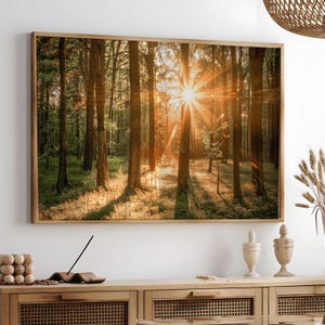 Printable Forest Photography, Nature Landscape Large Wall Art, Sunset Nature Digital Print, Nordic Forest Wall Art, Instant Download