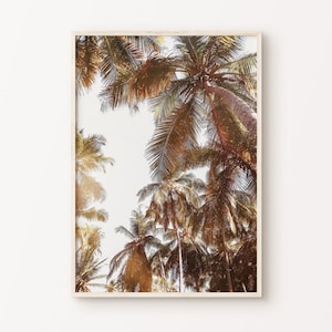 Tropical Wall Art, Palm Tree DIGITAL Print, Nature Photography, Tropical Art Print, Palm Trees PRINTABLE, Minimalist Poster Decor, Beach Art