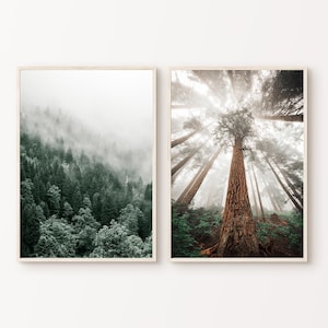 Fotografia de montanha, conjunto de 2 impressões de paisagens florestais para impressão, pôster de floresta com névoa, arte de parede de 2 peças da natureza, download digital