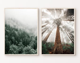 Mountain Photography, Printable Forest Landscape Prints Set of 2, Misty Foggy Forest Poster, Nature 2 Pieces Wall Art, Digital Download