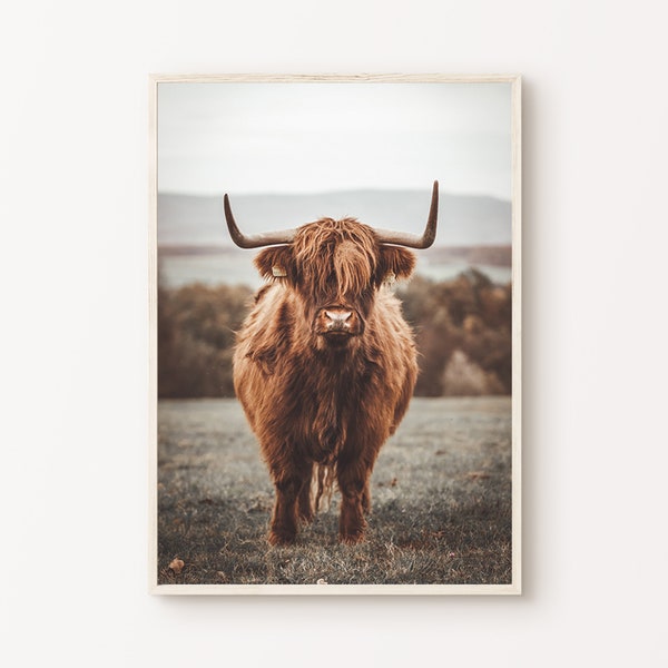 Highland Cow Art, Nature Photography Printable Poster, Cow Decor, Rustic Photography Print, Animal Canvas, Western Art Print, Large Wall Art