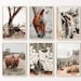 Printable Boho Southwest Set of 6 Prints, Highland Cow Large Wall Art, Rustic Western Gallery Wall Set, Farmhouse Photography, Horse Poster 