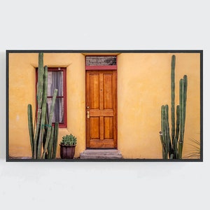 May include: A yellow stucco building with a wooden door and two windows. The building is surrounded by cacti.