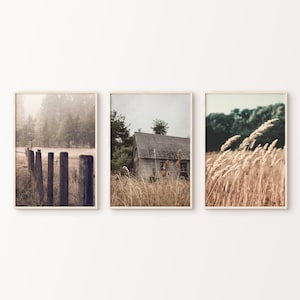 Farmhouse Set of 3 Printable Photography, Rustic Cottage 3 Pieces Large Wall Art, Countryside Photography, Wheat Field Wall Art