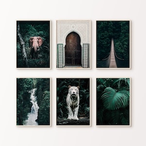 Bali Set of 6 PRINTABLE Photography, Indonésie Tropical Forest Gallery Wall Set of 6 Prints, White Tiger Large Wall Art, Jungle Prints Set
