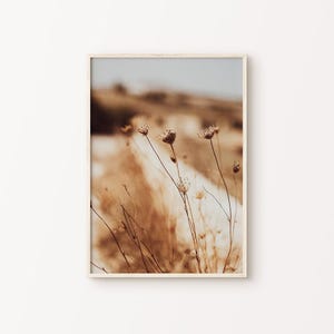 Dried Grass Printable Wall Art, Neutral Botanical Photography, Boho Wall Decor, Rustic Nature Print, Farmhouse Large Wall Art