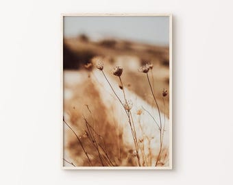 Dried Grass Printable Wall Art, Neutral Botanical Photography, Boho Wall Decor, Rustic Nature Print, Farmhouse Large Wall Art