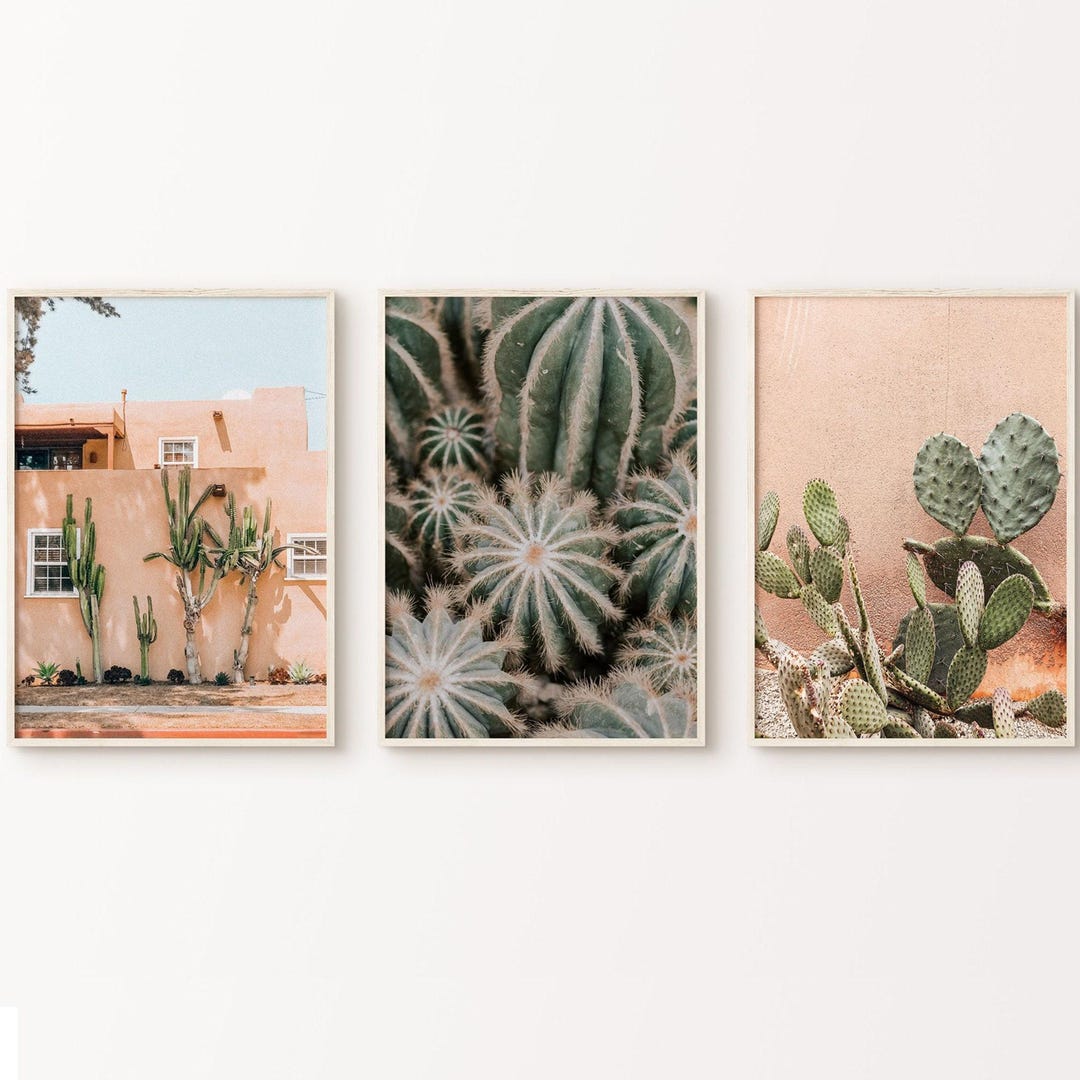 Cactus 3 Pieces Wall Art, Boho Desert Wall Art Set of 3 Photography ...