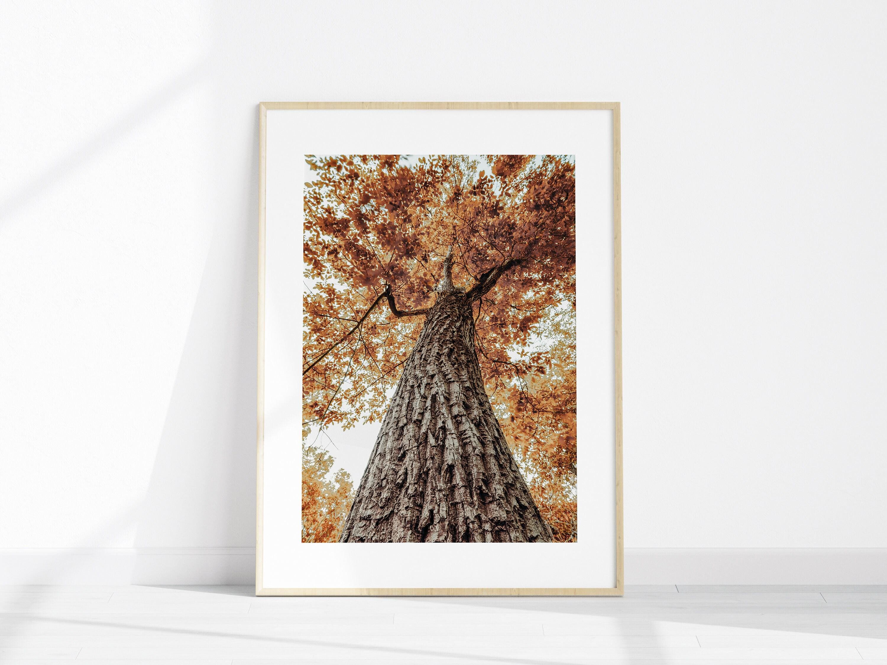 Fall Landscape Printable Set of 3 Photography, Autumn Forest Set of 3 ...