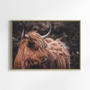 Arte mural de vaca de las Tierras Altas, arte mural grande de ganado del oeste, impresión fotográfica rústica horizontal, póster de vaca Longhorn, lienzo imprimible de animales de granja imagen 7