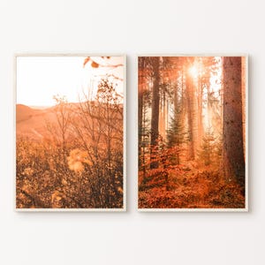 Juego de 2 impresiones imprimibles de paisaje de bosque otoñal, decoración rústica de pared, impresión fotográfica de bosque con hojas rojas de otoño, arte mural grande de otoño de estilo rústico.