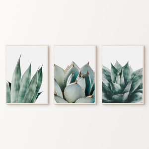 Modernes Sukkulenten-Set mit 3 Drucken, druckbare botanische 3-teilige Wandkunst, minimalistisches Sukkulenten-Poster, Nahaufnahme von Pflanzen und Blättern