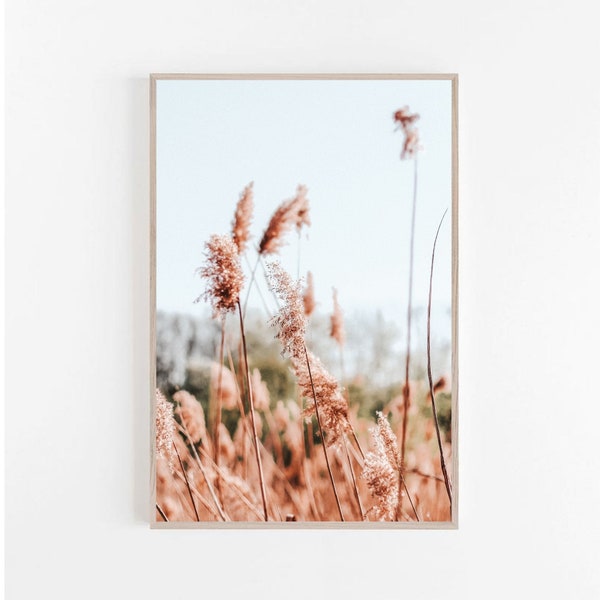 Boho Pampas Grass Wall Art, Neutral Botanical Digital Print, Boho Nature Photography, Earth Tones Prints, Natural Printable Large Wall Art