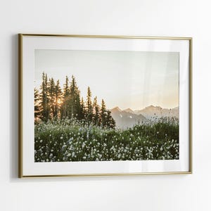 Druckbare Wildblumen Fotografie, Natur Landschaft große Wandkunst, grüne Natur Digitaldruck, nordische Wald Wandkunst, Instant Download Bild 3