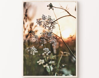Blumen Fotografie, druckbare Wildblumen Wandkunst, Natur Druck, Blumen Zweig Poster, Sonnenuntergang Kunst, digitaler Download
