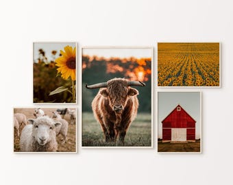 Art mural imprimable ferme 6 pièces, lot de 6 photographies nature, ensemble mural galerie animaux de la ferme, art mural vache Highland, impression tournesol