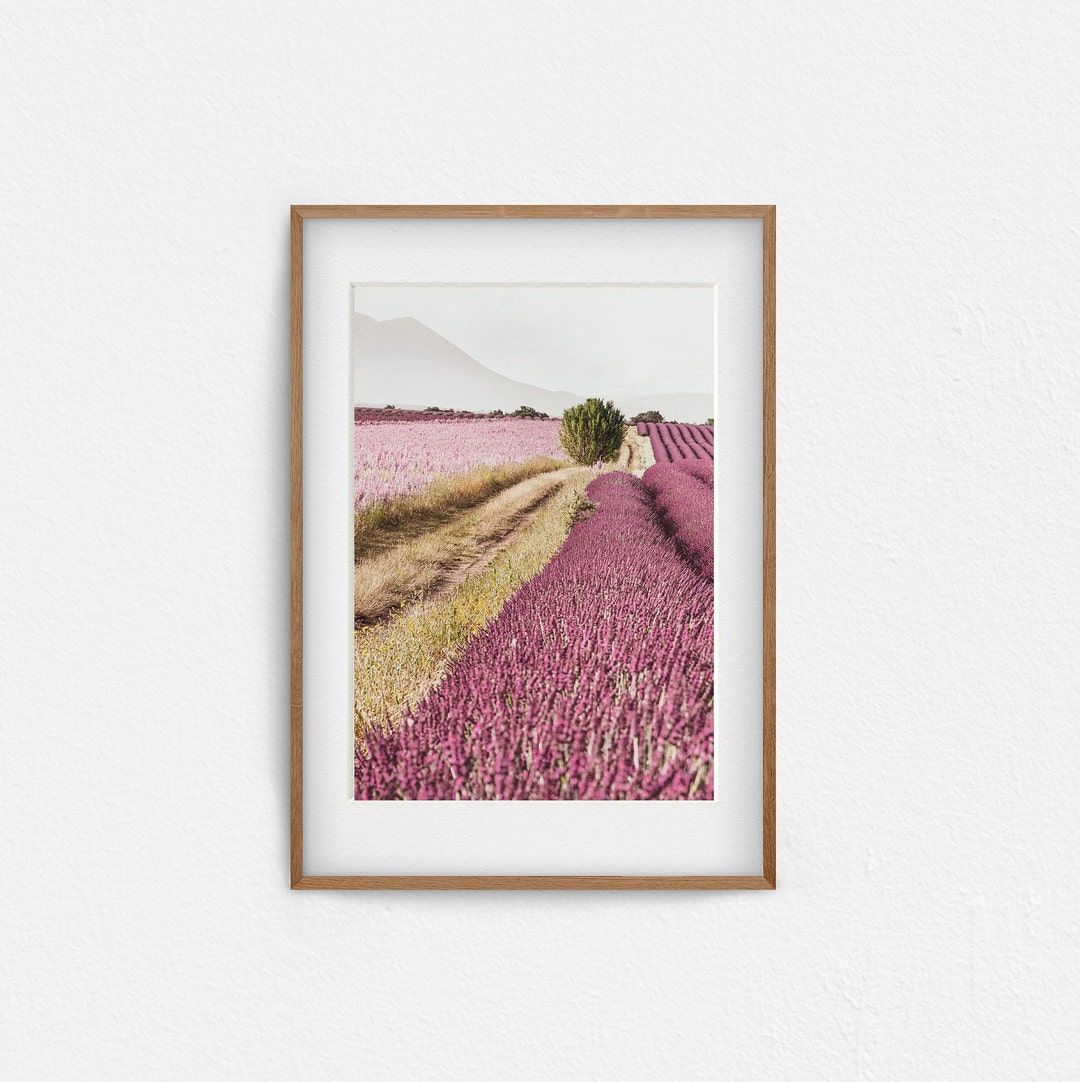 Printable Photography of a Lavender Fields, Purple Flowers Large Wall ...
