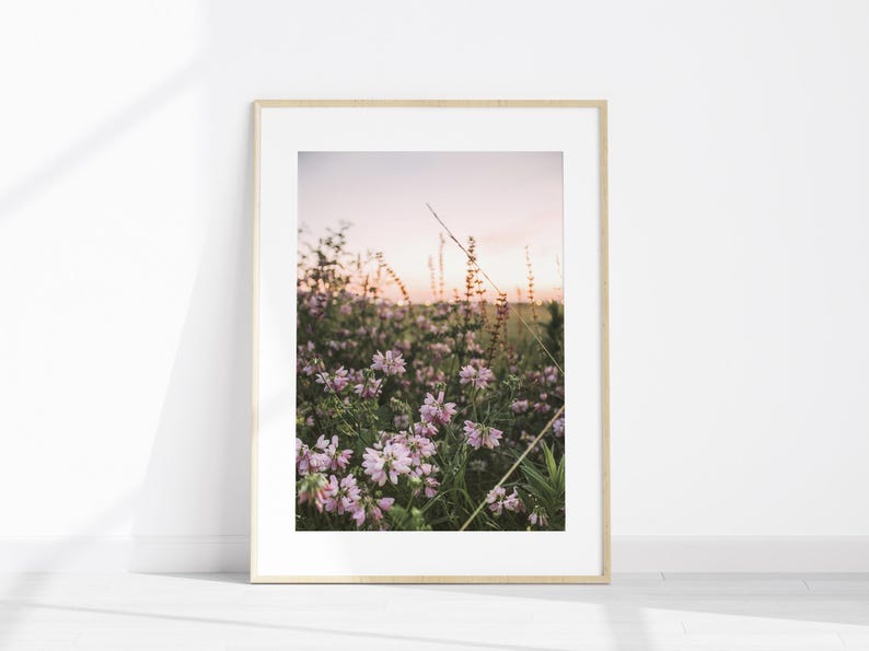 Nature Set of 3 Photography, Printable Wildflowers 3 Pieces Wall Art ...