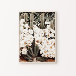 Blumen Kaktus druckbare Wandkunst, Kaktus in der Wüste Fotografie, Boho Kakteen Digitaldruck, botanische große Wandkunst, Frühling Wanddekor