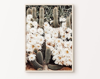 Flowers Cactus Printable Wall Art, Cactus in the Desert Photography, Boho Cacti Digital Print, Botanical Large Wall Art, Spring Wall Decor