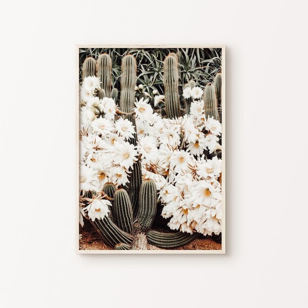 Cactus Art Print Etsy