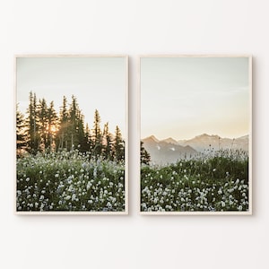 May include: Two framed landscape prints. The left print shows a forest with sunlight filtering through the trees. The foreground has a field of white flowers. The right print depicts a mountain range with a field of white flowers in the foreground.