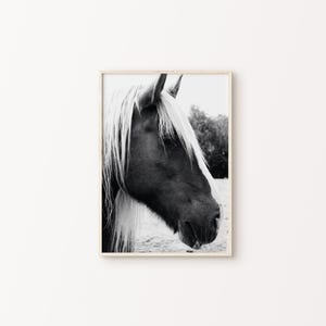 Horse Photography Print, DIGITAL Rustic Farmhouse Large Wall Art, Modern Farmhouse Decor, Animals Black and White Print, Wild Horses Poster