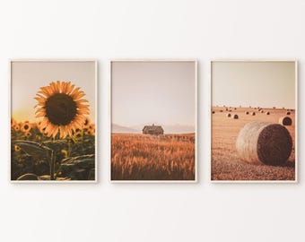 Farmhouse Print Set of 3 Pieces Wall Art, Nature Photography Printable Gallery Wall Set, Rustic Sunflower Photography Print, Large Wall Art