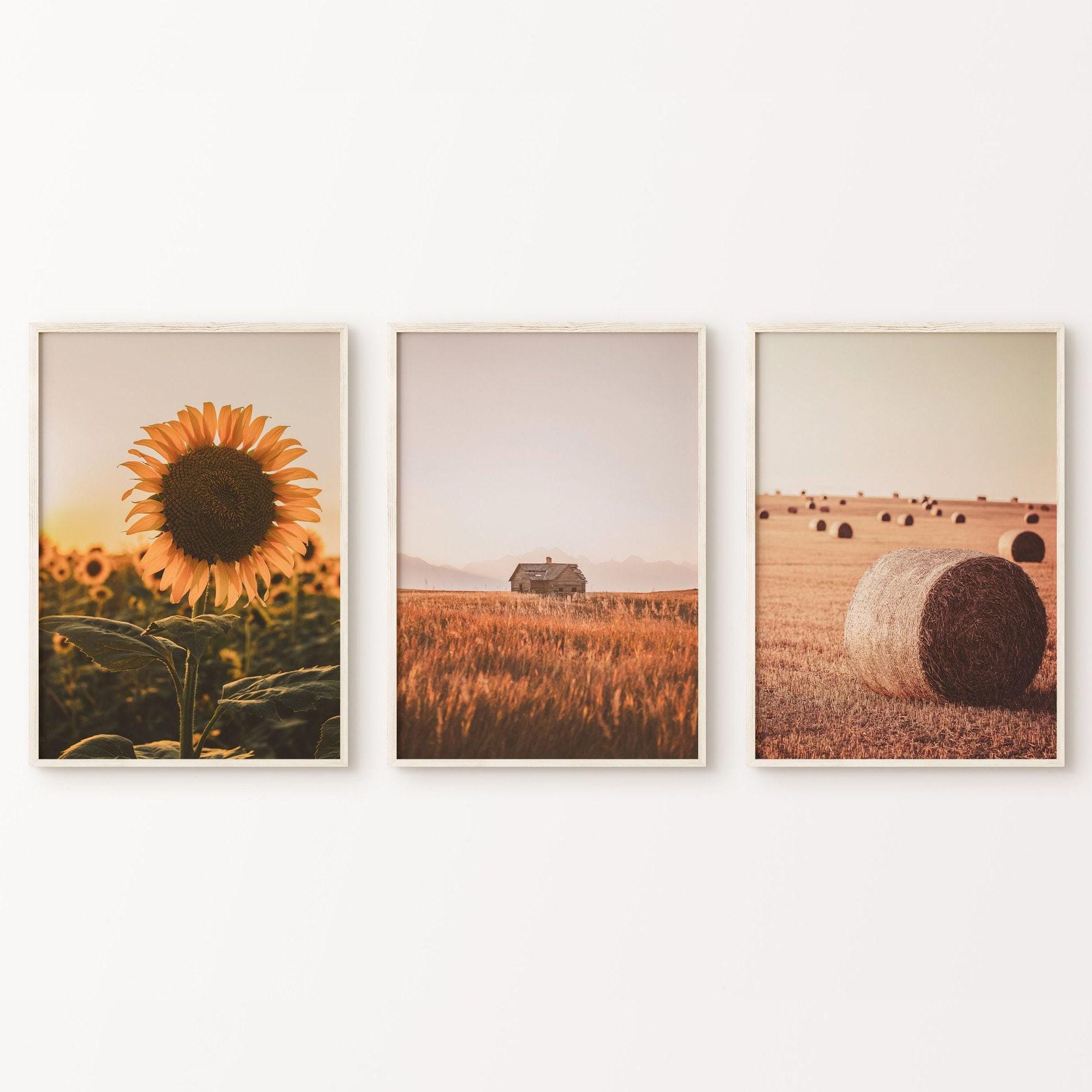 Farmhouse Print Set of 3 Pieces Wall Art, Nature Photography Printable ...