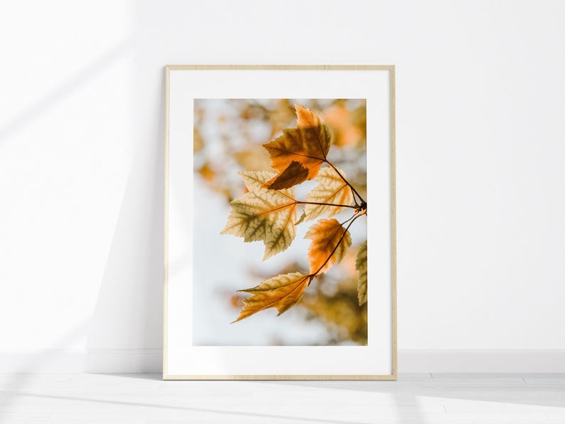 Set of 6 Fall Landscape PRINTABLE Photography, Autumn Gallery Wall Set ...
