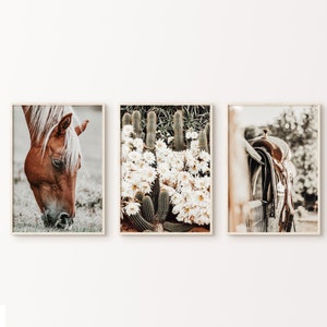 Boho Southwest 3er Set DIGITALE Drucke, Western Bauernhaus 3 Stück große Wandkunst, druckbare Blumen Kaktus Fotografie, Pferdesattel Druck