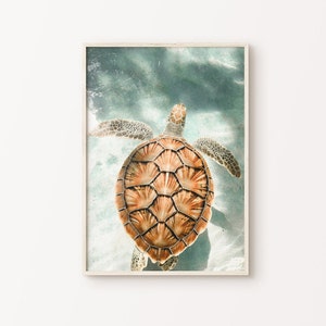Fotografía imprimible de tortugas marinas, arte costero de pared grande, impresión digital de playa, arte de pared tropical, arte de pared de animales marinos, decoración de cabañas de playa