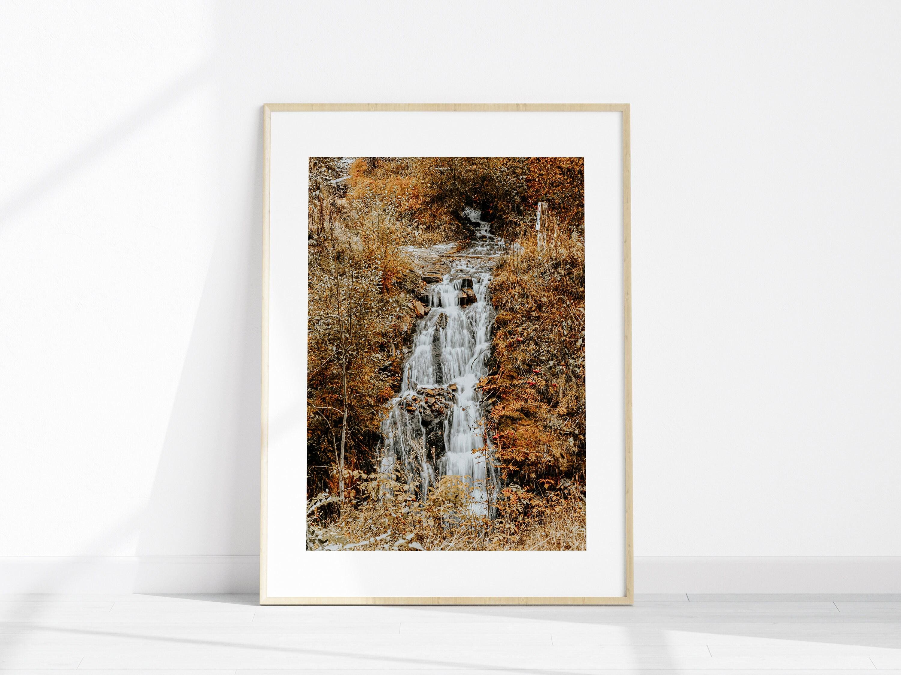 Fall Forest Set of 6 Printable Photography, Autumn Nature Gallery Wall ...