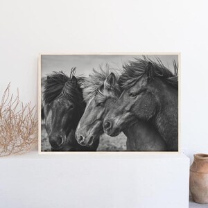Pferde Fotografie Schwarzweiß Landschaftsdruck, Wildpferdeportrait, rustikale Landschaftswandkunst, druckbare Pferde Poster, große Wandkunst