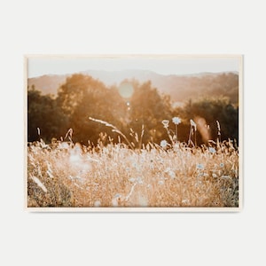 PRINTABLE Wildflowers Photography, Boho Wildflower Wall Art, Sunset Country Landscape Print, Farmhouse Wall Decor, Botanical Nature Wall Art