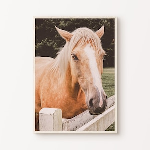 Printable Horse Photography, Rustic Farmhouse Large Wall Art, Western Decor, Equestrian Print, Wild Horses Poster, Horse Lover Art