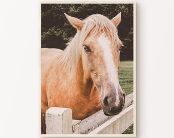 Fotografia di cavalli stampabile, grande arte murale rustica in stile fattoria, arredamento western, stampa equestre, poster di cavalli selvaggi, arte per amanti dei cavalli