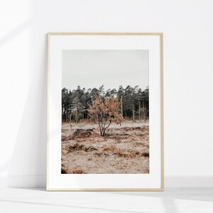 Juego de 6 fotografías imprimibles de estilo rústico de granja para pared, impresión de vacas de las Tierras Altas, arte de pared grande de 6 piezas de granja, impresión de flores silvestres imagen 6